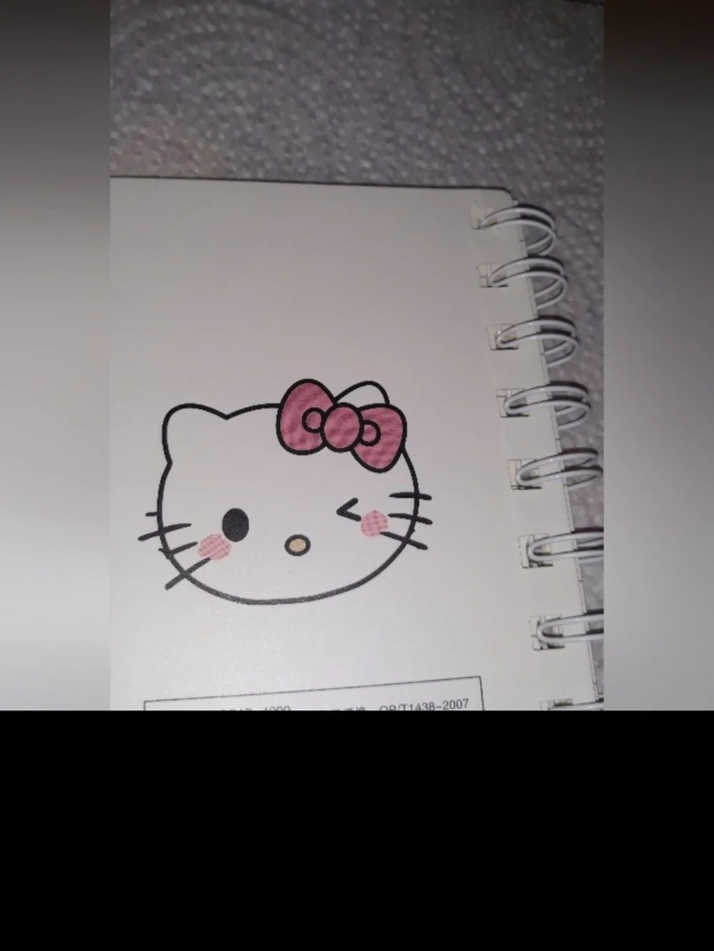 HELLO KITTY Spiral Notebook Adult Kids NEW